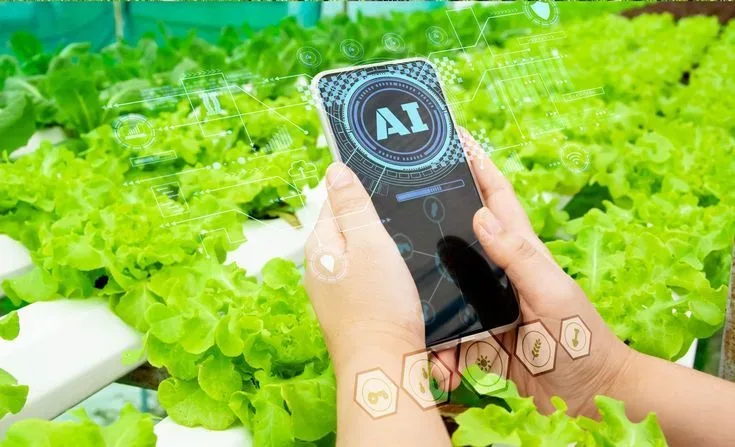 Precision Agriculture Consulting Services